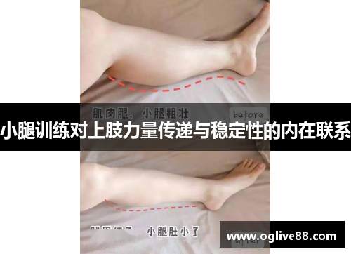 小腿训练对上肢力量传递与稳定性的内在联系