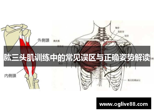 肱三头肌训练中的常见误区与正确姿势解读